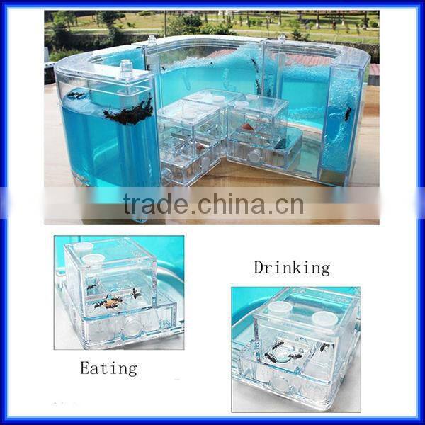 High quality Wholesale Magic Toy Ant Farm for children Education of Ant Worker