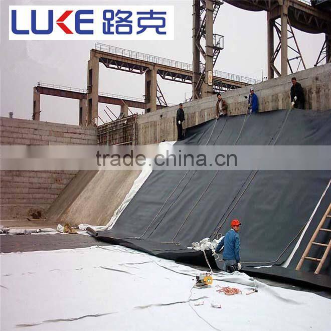 geomembrane/HDPE geomembrane price/HDPE geomembrane