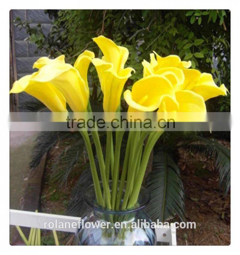 indevidually wrapped export yellow bright color fresh cut calla flower for decoration