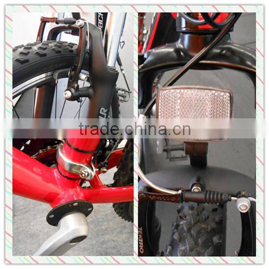 Green power strong fast Electric bike with programmable motor (Model CTB28R)