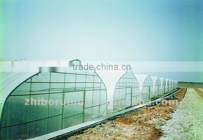 Economical Tunnel greenhouse