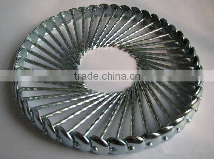 hot sale Umbrella head roofing nails from direct factory