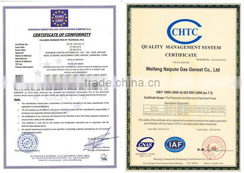 AC Three Phase Output Type CHP woodchips generator