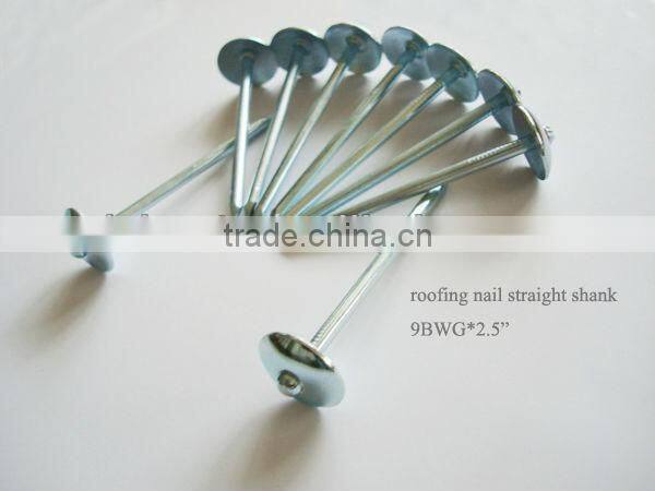 9bwg straight umbrella head galvanized roofing nails