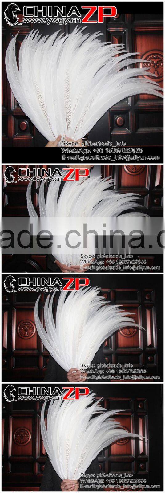 Top Supplier CHINAZP Bulk Sale Good Quality Wonderful Bleached White Long Silver Pheasant Tail Feathers Right