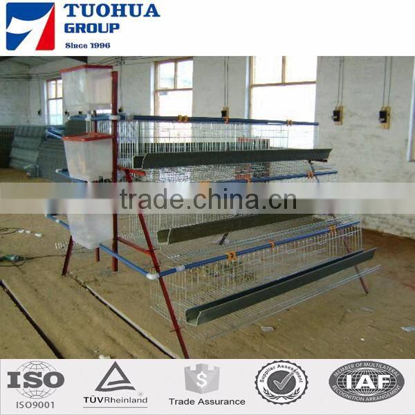 Broiler chicken cage,poultry farm layer cage