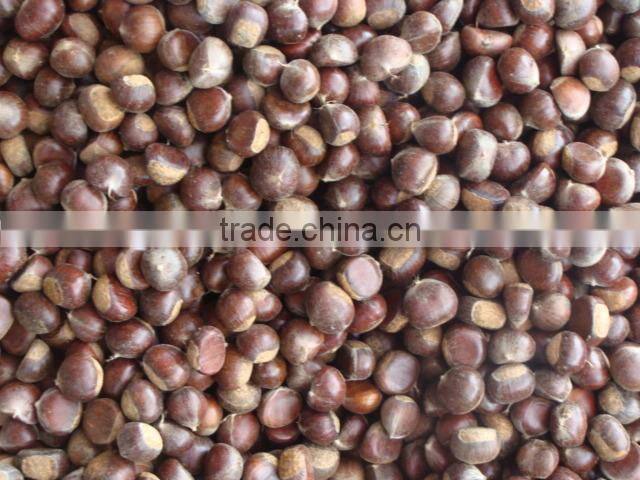 chestnut Dandong China 2014