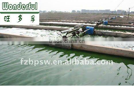 Spirulina exact liquid,wholesale spirulina,spirulina flakes/tablet