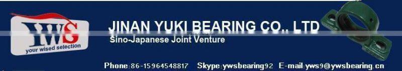 Rugged Cast Iron with 2 Slotted bolt holes pillow block housing SLF203