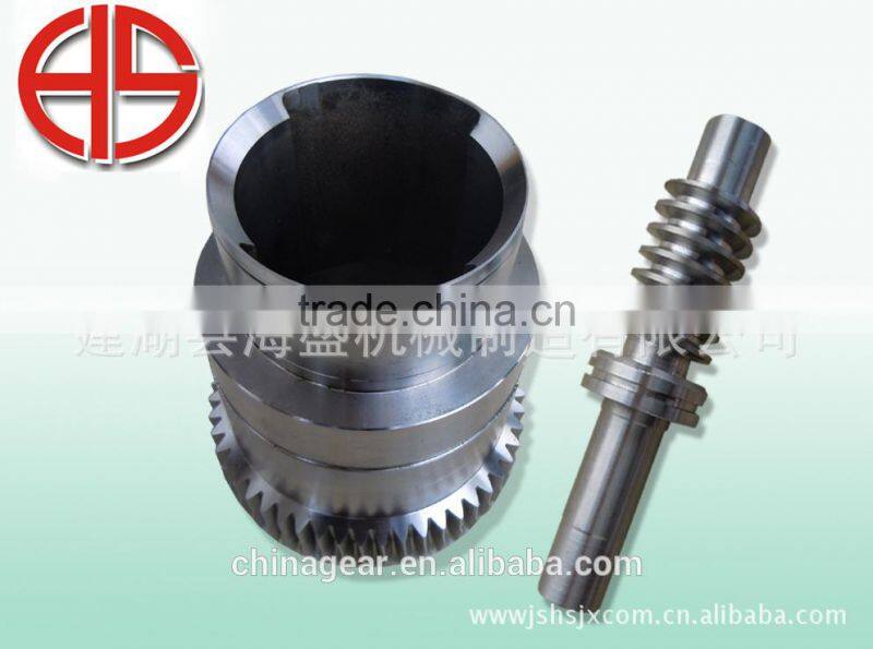 Worm gear and worm for petroleum machinery