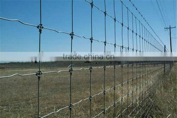 Plastic coated deer goat grassland feed field fencing cattle wire mesh fence for animal