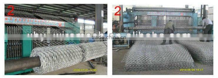 Hexagonal wire mesh/Hexagonal Animal cages