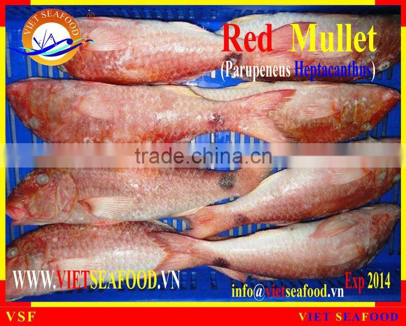 FROZEN W/R RED MULLET