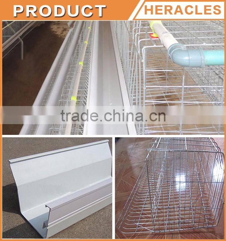 Hot selling Asia chicken cage for sale automatic chicken layer cage for sale in philippines