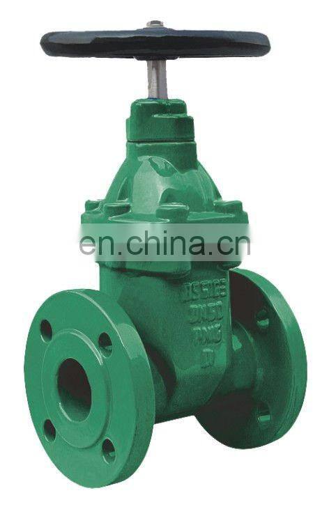 Flanged type cast iron/ductile iron gate valve