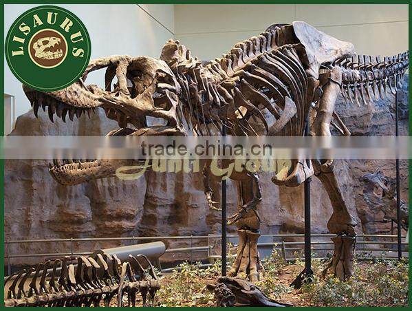 Lisaurus-V artifical dinosaur skeleton fossil