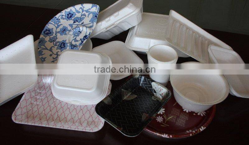 PSP Foam Sheet Machine(TYPSP-90/120)