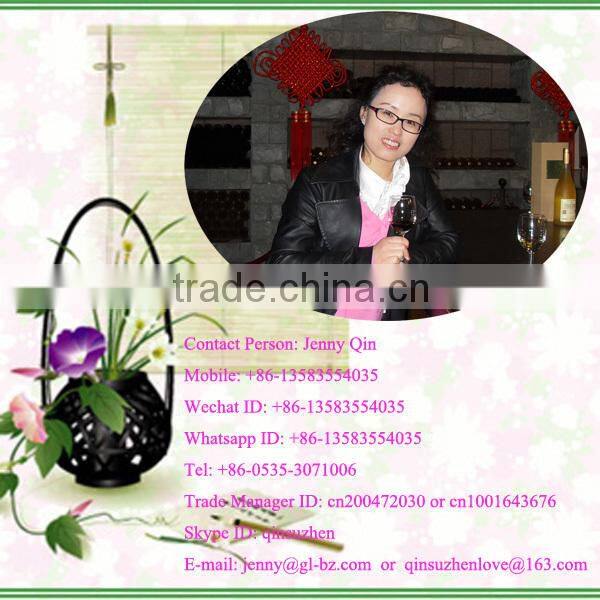 China Manufacturer Plastic Vacuum Forming Fresh Meat Fruit Disposable Plastic Food Container