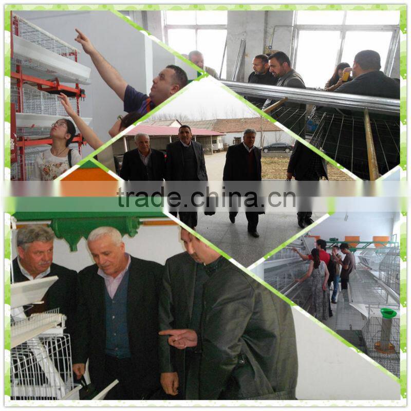 quail cage for sale & layer quail cage for poultry farm equipment