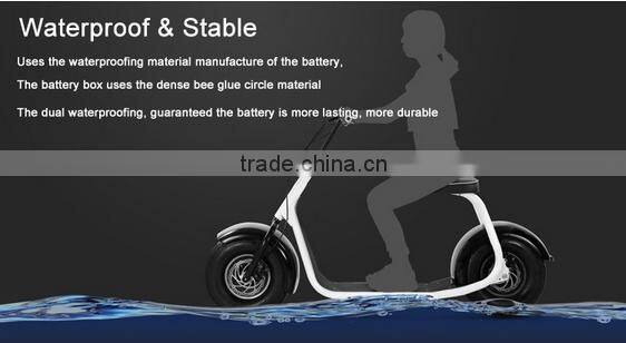 800w citycoco/seev/woqu 2 wheel self balancing handicap electric scooter