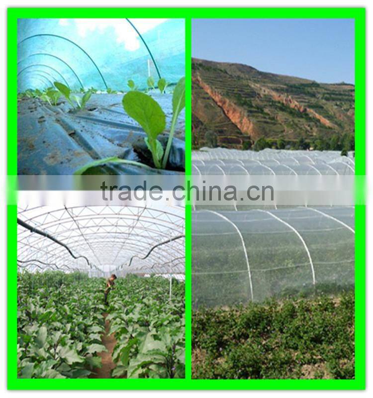 Suntex virgin HDPE elastic insect mesh netting antil bird netting