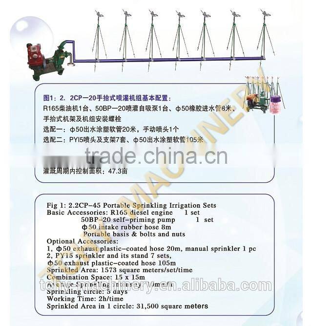 Agriculture Irrigation 2.2KW Water Pump Set With with R165 Diesel Engine