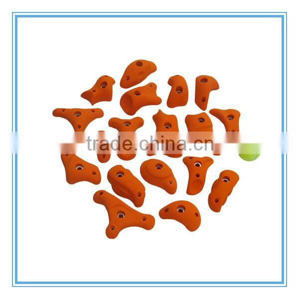 Vivid Looking Climbing Wall Holds