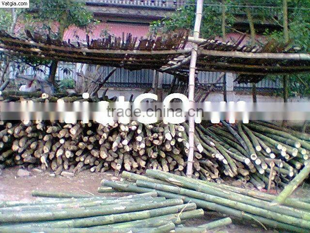 Bamboo curtain pole competitive price and big quantity