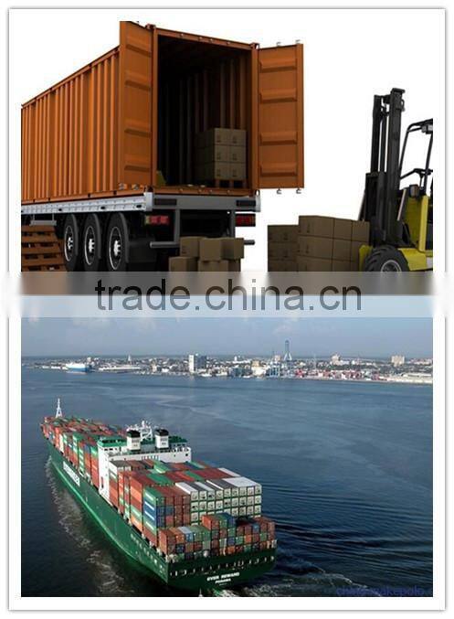 24mm Plastic mist fog Sprayer RD-301