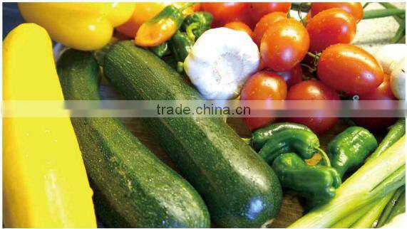 2016 high quality air conditioner with window