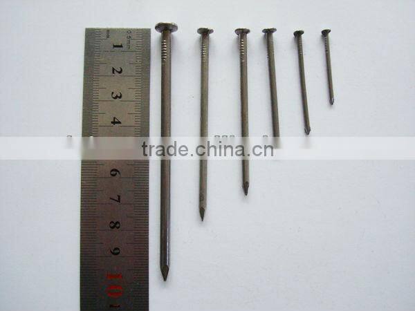 1"-4" common wire nails in china