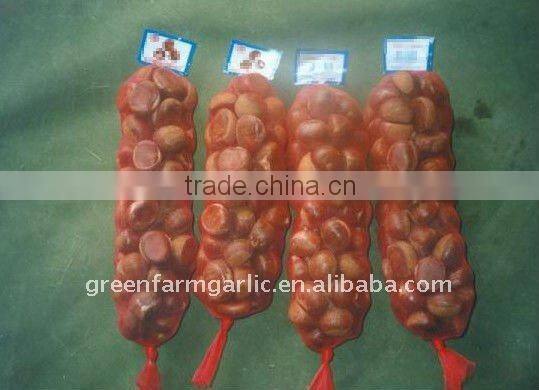 Fresh Chestnut