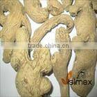 DRIED GINGER WHOLE