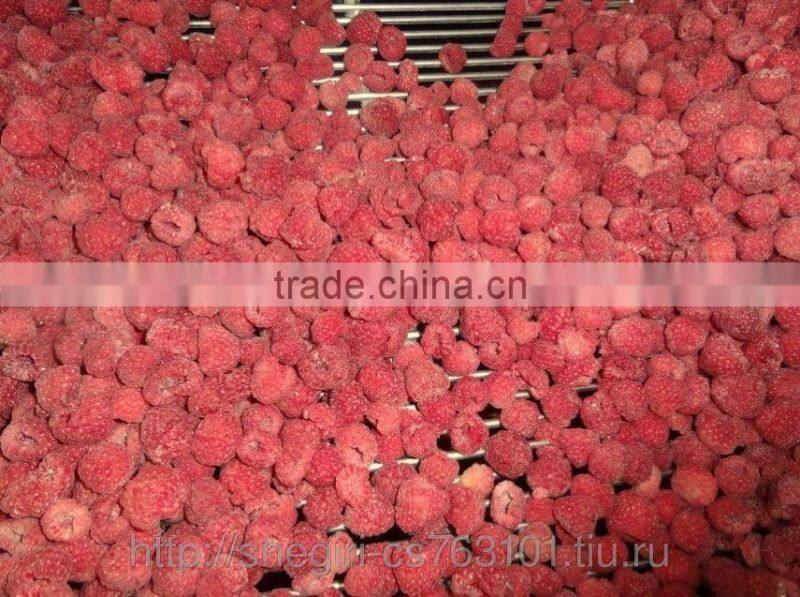 Frozen IQF Raspberry Price