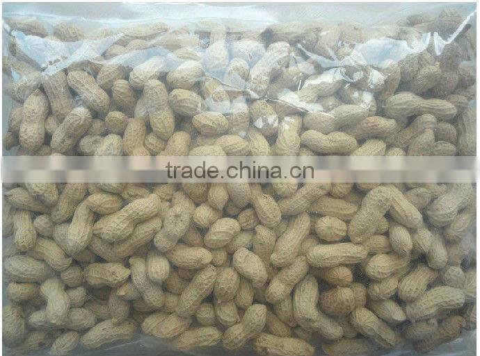 good taste big size roasted peanuts in shell