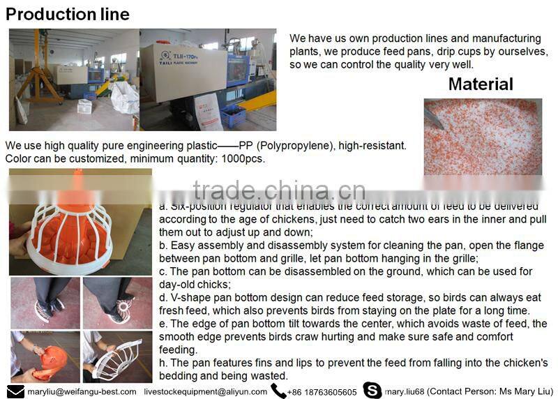 high quality low price industrial steel structure chicken coop