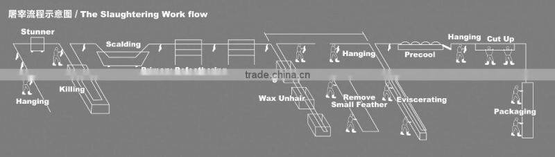 1000 BPH semi-automatic chicken Abattoir Equipment