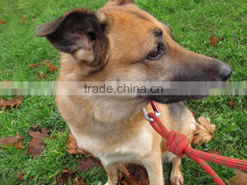 Recycled Climbing Rope & Carabiner Dog Leash - Red