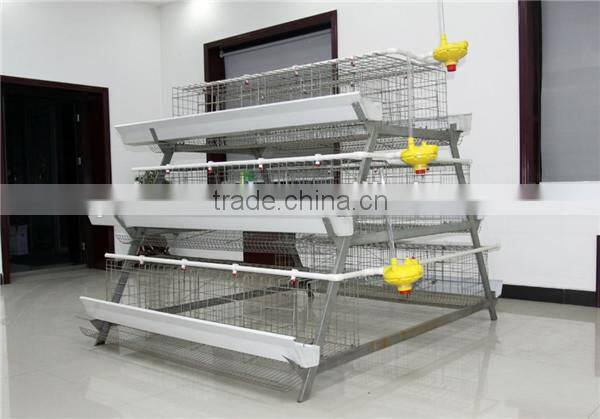 high quality galvanized welded wire chicken cage for poultry