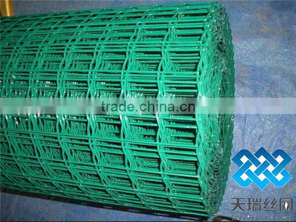 galvanized wire mesh( welded wire mesh)