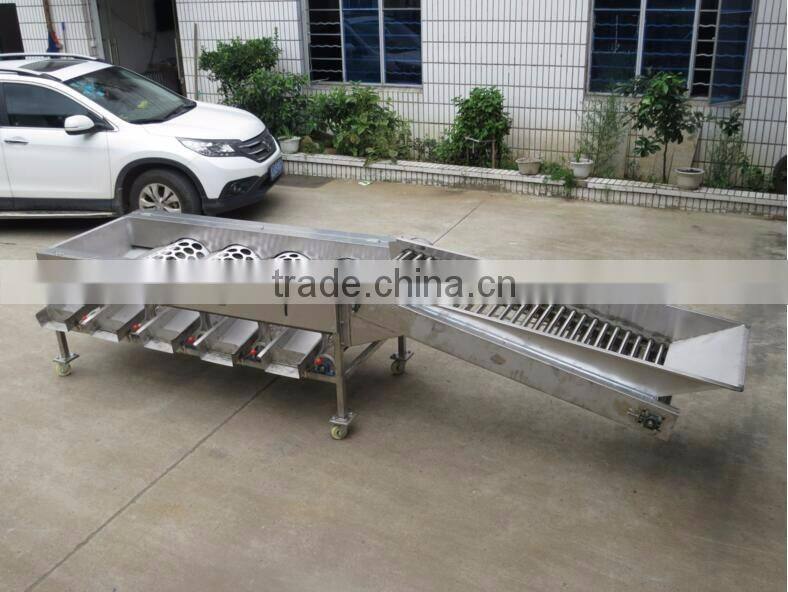 Garlic /Vegetable and Fruit Cleaning and Grading/Sorting machine