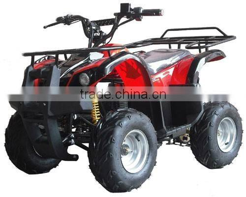 800W brushless motor / shaft elelctric Quad ATV 800W (TKE-A800-G)