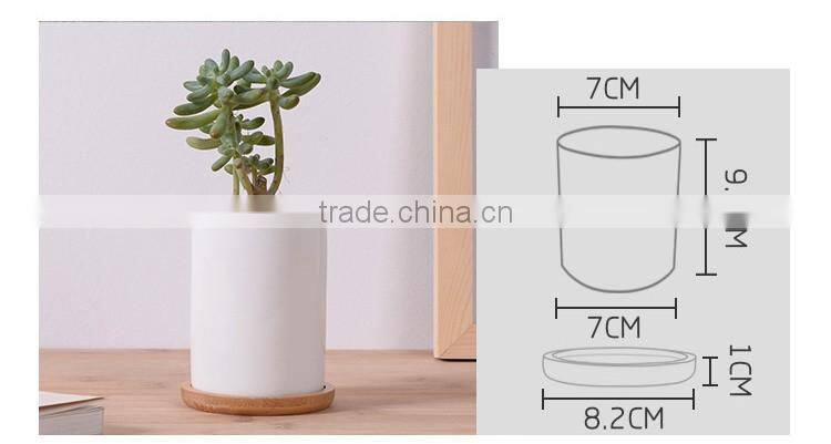 Indoor small white glazed ceramic teacup planter pot with bamboo tray