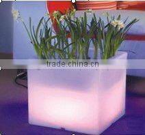 hot selling flashing led fruit plate