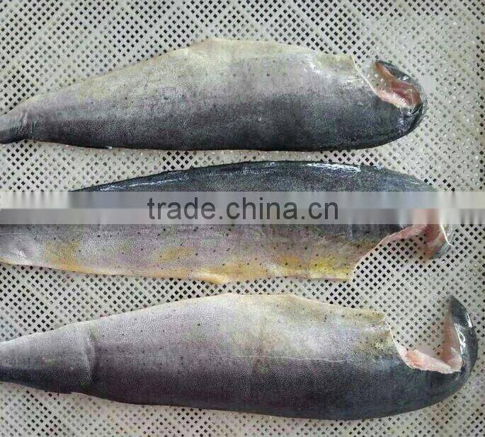 Frozen Mahi-mahi and Coryphaena hippurus fillet