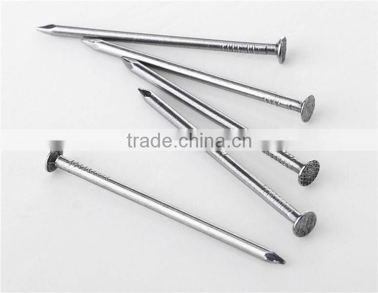 Hot dipped common iron wire nails wood nail