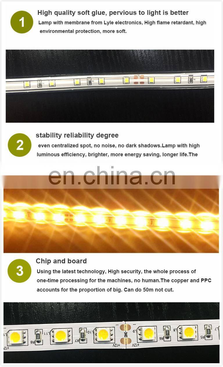 Rubber 100m hydrophilic strip indoor/outdoor led rope light 220v 230v 240v