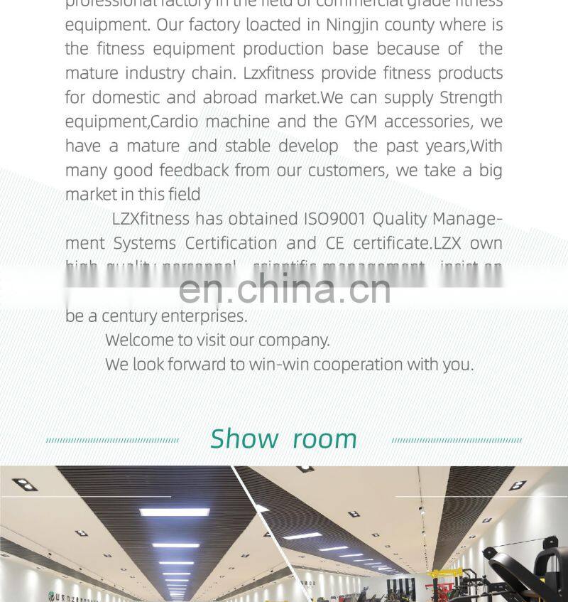 Commercial Gym Equipment Professional Work out Series Muscle Relax Machine Massage Gun