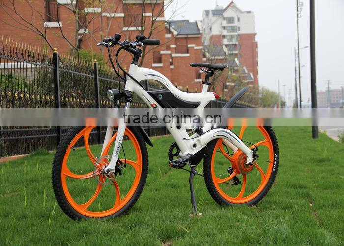2015 simple shape 20inch folding electric bike battery rack with EN15194