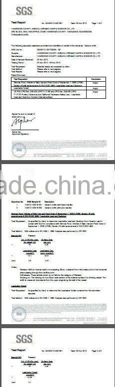 kitchen ceramic serrated knife